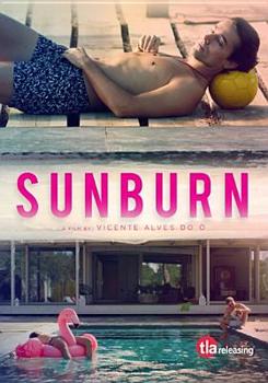DVD Sunburn [Portuguese] Book