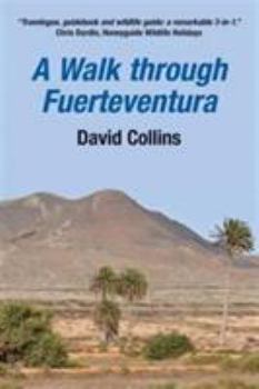 Paperback A Walk Through Fuerteventura Book