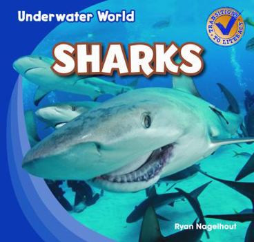 Sharks - Book  of the Underwater World