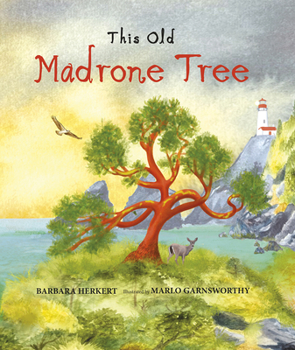 Hardcover This Old Madrone Tree Book