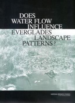 Paperback Does Water Flow Influence Everglades Landscape Patterns? Book
