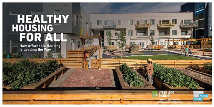 Paperback Healthy Housing for All: How Affordable Housing Is Leading the Way Book