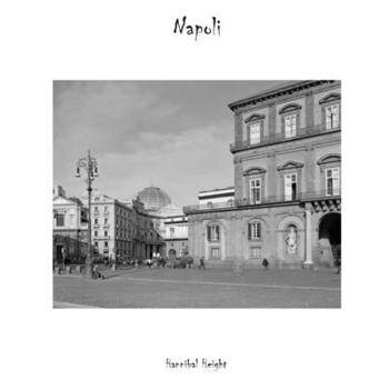 Paperback Napoli Book