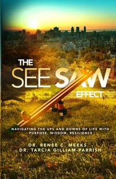 Paperback The Seesaw Effect Book