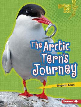 Library Binding The Arctic Tern's Journey Book