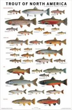 Poster Trout of North America Poster Book