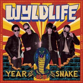 Vinyl Year Of The Snake Book