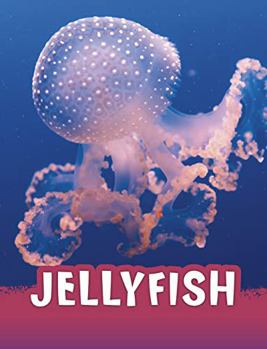 Paperback Raintree Jellyfish (Animals). Book