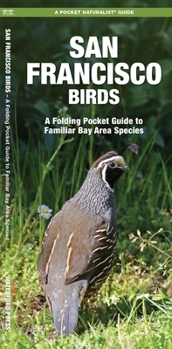 Pamphlet San Francisco Birds: An Introduction to Familiar Species Book