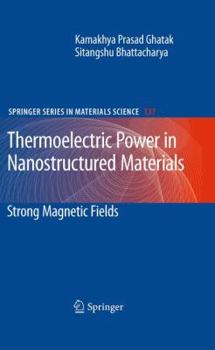 Hardcover Thermoelectric Power in Nanostructured Materials: Strong Magnetic Fields Book