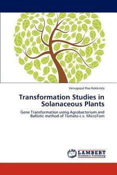 Paperback Transformation Studies in Solanaceous Plants Book