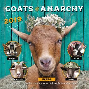 Calendar Goats of Anarchy 2019: 16-Month Calendar - September 2018 Through December 2019 Book