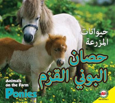 Hardcover Ponies: Arabic-English Bilingual Edition [Arabic] Book