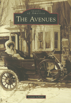 Paperback The Avenues Book