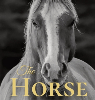 Hardcover The Horse: Coffee Table Book With Quotations About The Magnificent Equines. [Large Print] Book