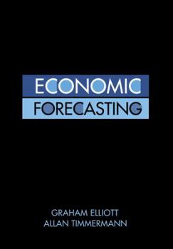 Hardcover Economic Forecasting Book