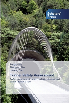 Paperback Tunnel Safety Assessment Book