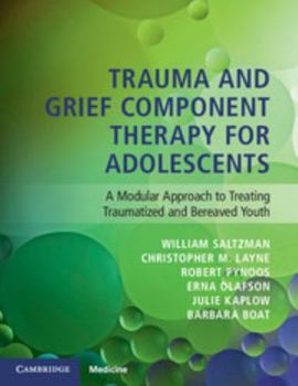 Paperback Trauma and Grief Component Therapy for Adolescents: A Modular Approach to Treating Traumatized and Bereaved Youth Book