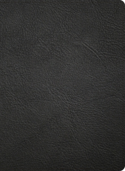 Leather Bound NASB Study Bible, Black Genuine Leather Book