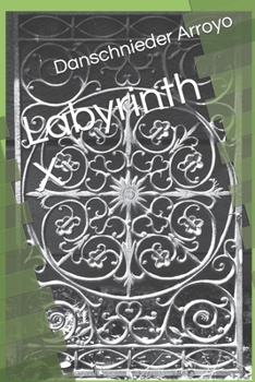 Paperback Labyrinth X Book