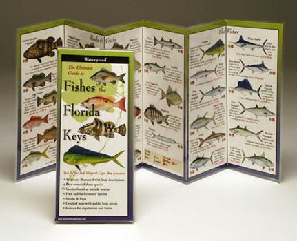 Paperback Fishes of the Florida Keys Book