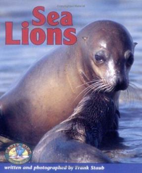 Hardcover Sea Lions Book