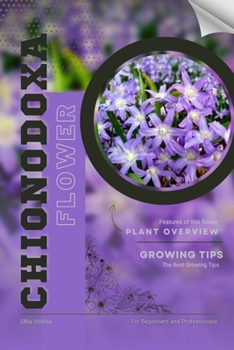 Chionodoxa: Flower overview and Growing Tips