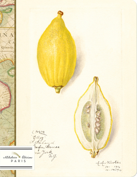 Hardcover Citrus: Watercolors of Lemons by Amanda Almira Newton (1860-1943) Book