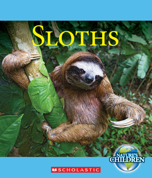 Paperback Sloths (Nature's Children) Book
