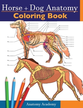 Paperback Horse + Dog Anatomy Coloring Book: 2-in-1 Compilation Incredibly Detailed Self-Test Equine & Canine Anatomy Color workbook Perfect Gift for Veterinary Book