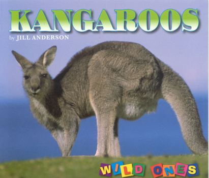 Hardcover Kangaroos (Wild Ones) Book