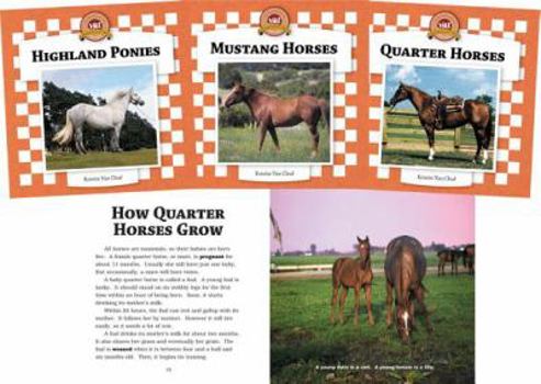 Library Binding Horses Set 2 (Set) Book