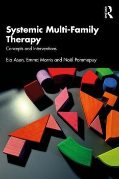 Paperback Systemic Multi-Family Therapy: Concepts and Interventions Book