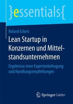 Paperback Lean Startup in Konzernen Und Mittelstandsunternehmen: Ergebnisse Einer Expertenbefragung Und Handlungsempfehlungen [German] Book