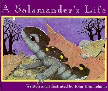 A Salamander's Life (Nature Upclose)