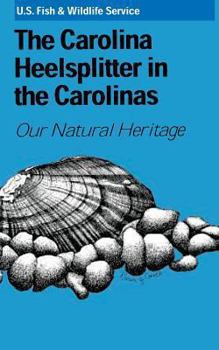 The Carolina Heelsplitter in the Carolinas