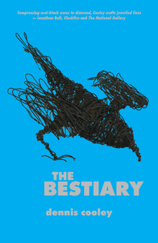 Paperback The Bestiary Book