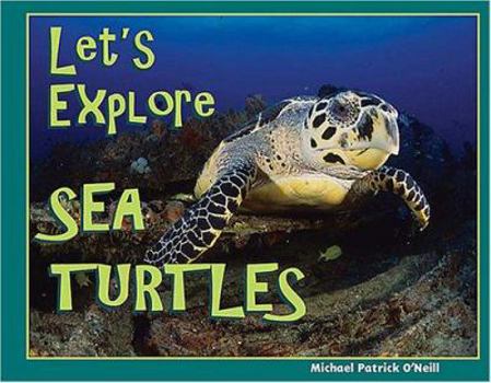 Hardcover Let's Explore Sea Turtles Book