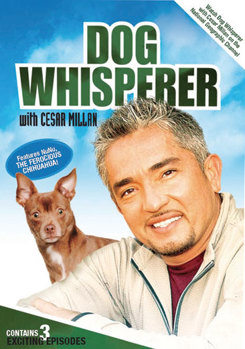 DVD Dog Whisperer with Cesar Millan: Volume 1 Book