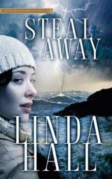 Steal Away (Teri Blake-Addison Mystery Series) - Book #1 of the Teri Blake-Addison