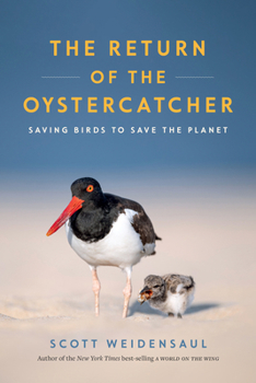 Return of the Oystercatcher: Saving Birds to Save the Planet