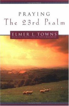 Paperback Praying the 23rd Psalm Book