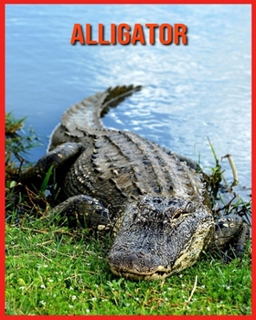 Alligator: Schöne Bilder & Kinderbuch mit interessanten Fakten über Alligator