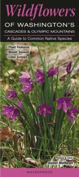 Pamphlet Wildflowers of Washington's Cascades & Olympic Mountains: A Guide to Common Native Species Book