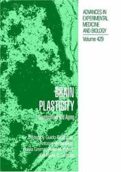 Hardcover Brain Plasticity: Development and Aging Book