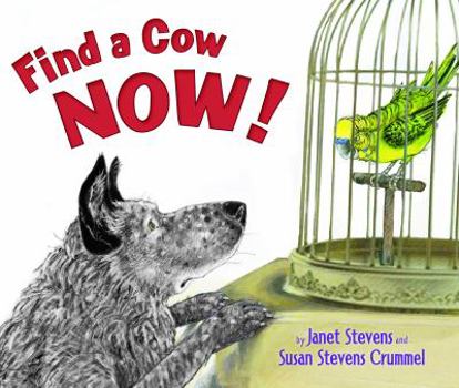 Hardcover Find a Cow Now! Book