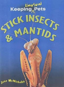 Paperback Stick Insects Book