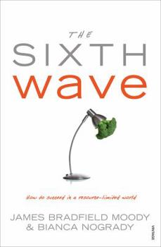 Paperback The Sixth Wave: How to Succeed in a Resource-Limited World Book