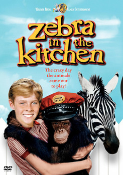 DVD Zebra In The Kitchen Book