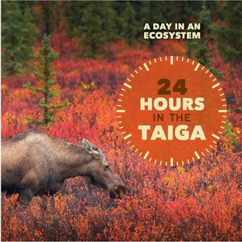 24 Hours in the Taiga - Book  of the A Day in an Ecosystem